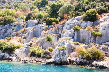 Denizden ağaçları ile taş Adası kıyısına görüntüleyin. CLO