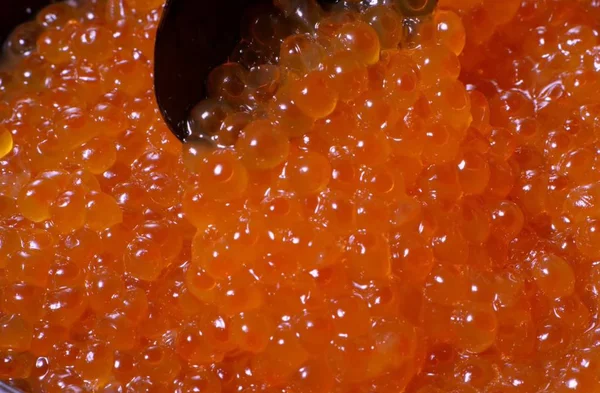 Savoureux Caviar Rouge Sur Une Assiette — Photo