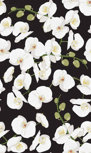 White orchid floral seamless pattern. Flowers bloom blossom foliage bouquet on black background. — 스톡 벡터