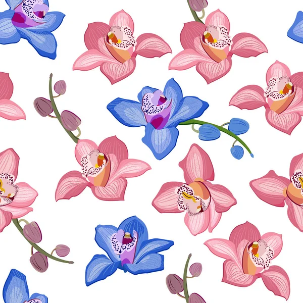 Růžový Modrý Květý Obraz Orchidejí Květiny Kvetou Bílém Pozadí — Stockový vektor