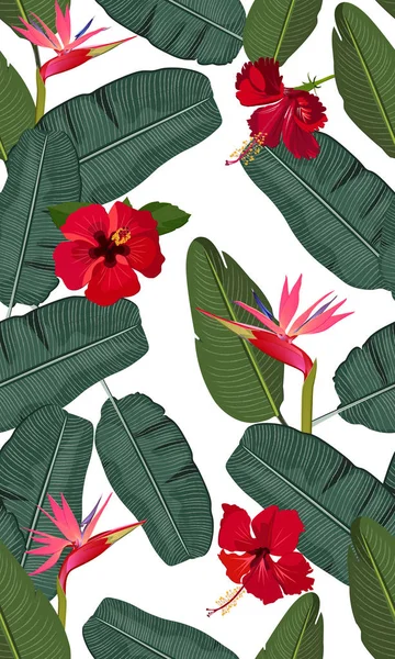 Foglie di banana vettoriale senza soluzione di continuità con fiore di ibisco rosso e uccello rosa del paradiso su sfondo bianco — Vettoriale Stock