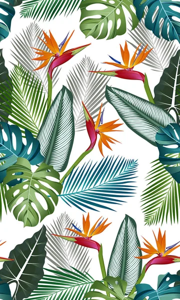 Padrão sem costura com pássaro do paraíso: folhas tropicais, palmas, monstera, alocasia, calathea, padrão de vetor sem costura folha da selva. Design botânico de roupa de banho. Vector. - Vector — Vetor de Stock