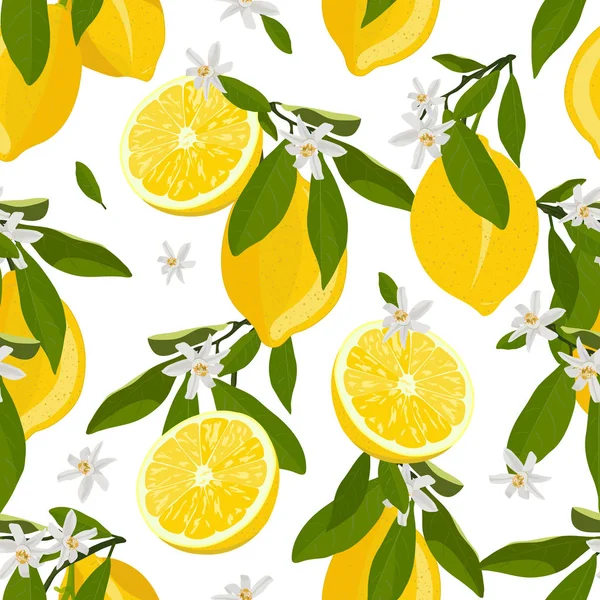 Limon meyve çiçekleri ile dikişsiz desen ve beyaz arka plan bırakır. narenciye vektör illüstrasyon.