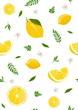 Limon meyve ve beyaz arka plan üzerinde sevimli yaprakları ile dilim dikişsiz desen. Narenciye vektör illüstrasyon.