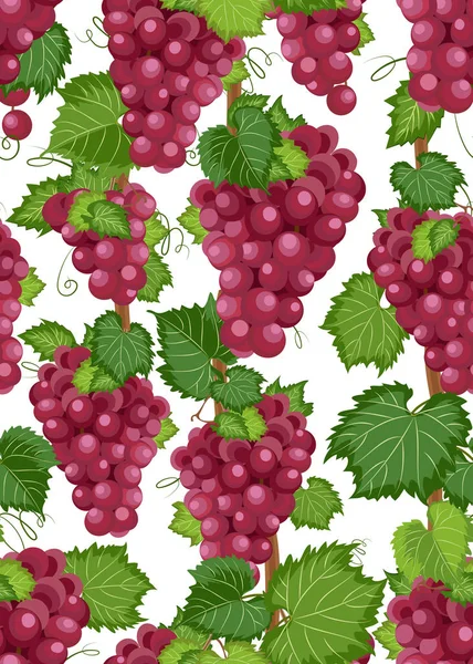 Grape vine seamless pattern and leaves on white background, Fresh organic food, Red grape bunch pattern background, Fruit vector illustration.