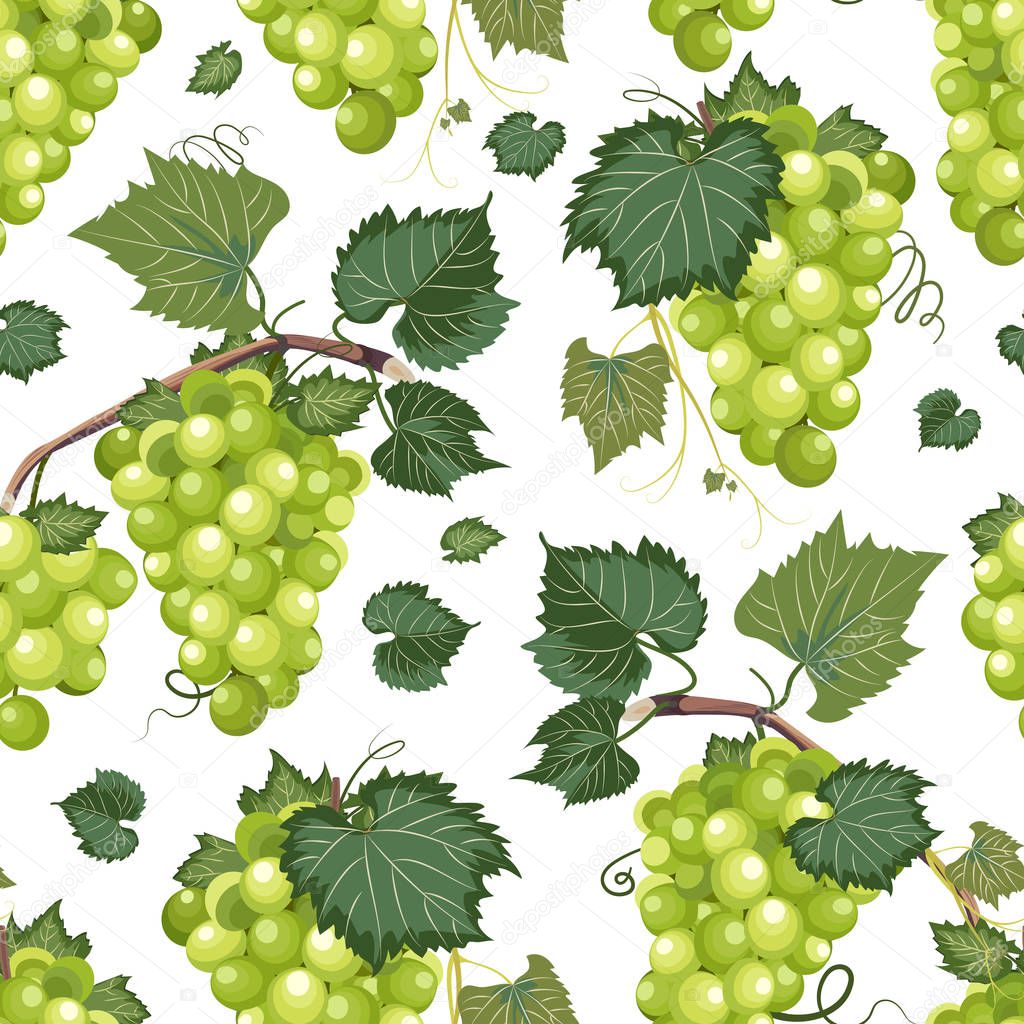 Grape vine seamless pattern and leaves on white background, Fresh organic food, White grape bunch pattern background, Fruit vector illustration.