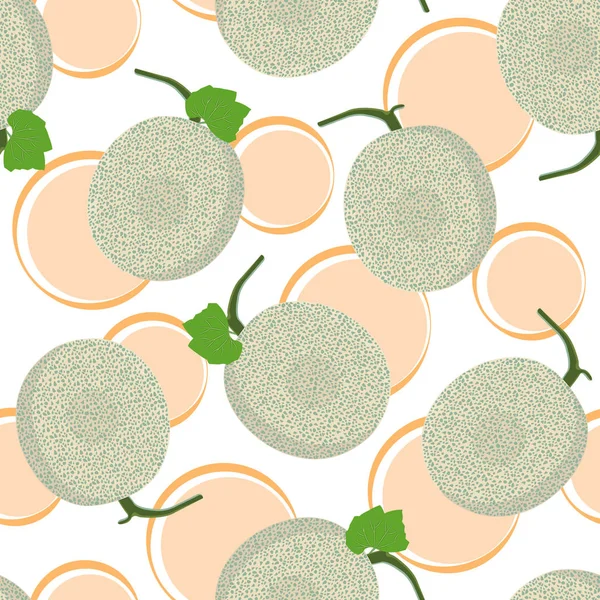 Melon Whole Seamless Pattern White Background Fresh Cantaloupe Melon Pattern — Stock Vector
