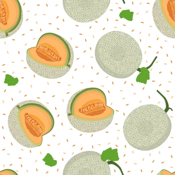 Melone Ganze Nahtlose Muster Auf Weißem Hintergrund Frische Cantaloupe Melonenmuster — Stockvektor