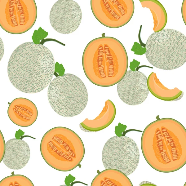 Melon Whole Half Seamless Pattern White Background Fresh Cantaloupe Melon — Stock Vector