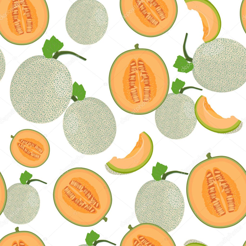 Melon whole and half seamless pattern on white background, Fresh cantaloupe melon pattern background, Fruit vector illustration.