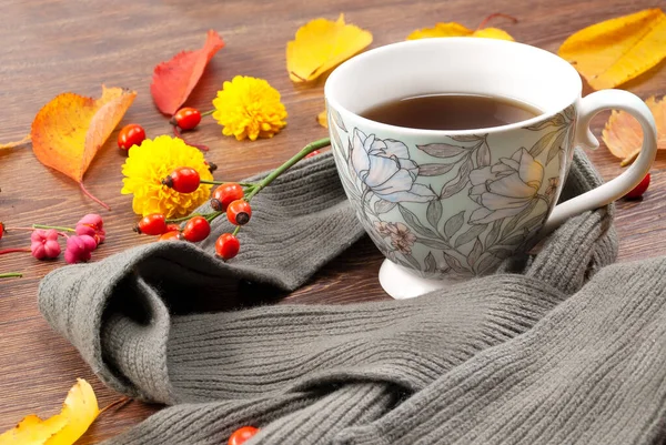 Taza de té de otoño envuelta en una bufanda caliente — Foto de Stock