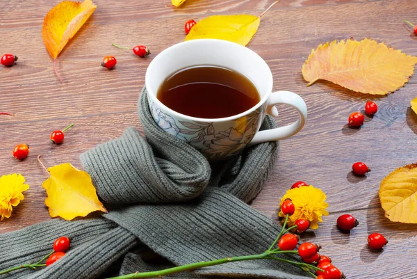 Sonbahar çayı kupası sıcak bir eşarba sarılmış. — Stok fotoğraf