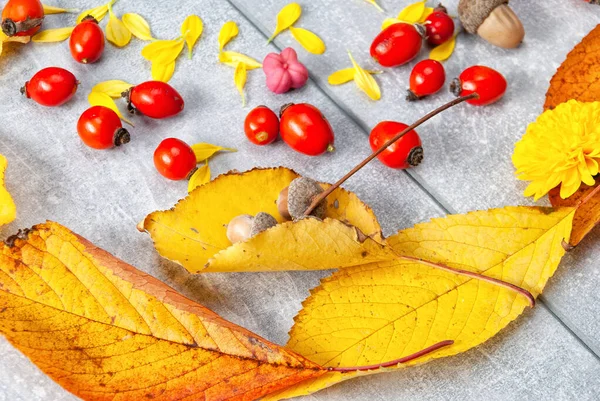 Otoño hojas imagen vista superior colores cálidos — Foto de Stock