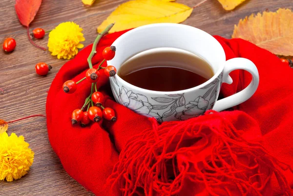 Taza de té de otoño envuelta en una bufanda caliente — Foto de Stock