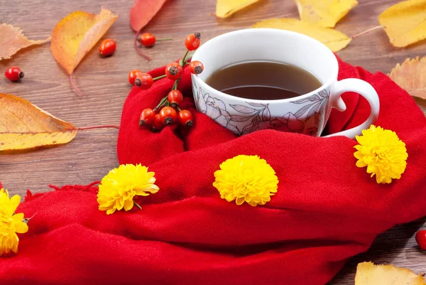 Herbst-Teebecher in einen warmen Schal gewickelt — Stockfoto