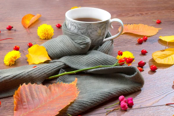 Taza de té de otoño envuelta en una bufanda caliente — Foto de Stock
