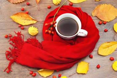 Sonbahar çayı kupası sıcak bir eşarba sarılmış.
