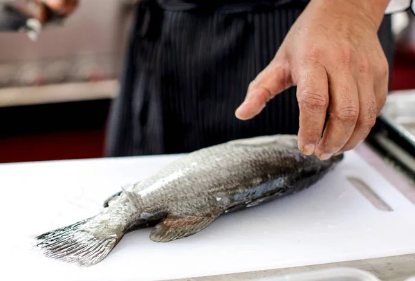 Gutting and cleaning fresh fish in kitchen sink, preparing fis