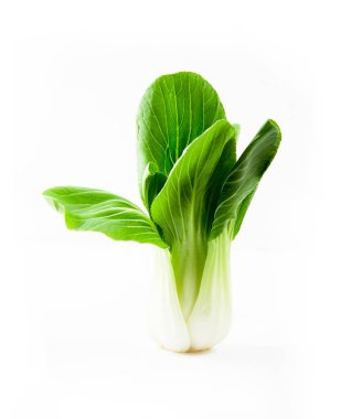 POK Choi beyaz arka planda, Çin sebze lahana 