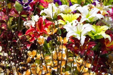 Renkli plastik lale buketi