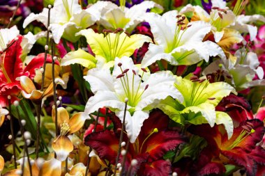 Renkli plastik lale buketi