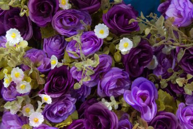 Plastik güller çiçek arka plan