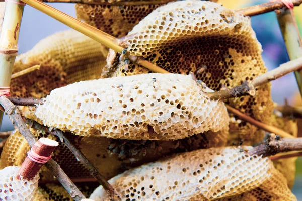 Wildwaben und Bienen, frischer Honig von Wildbienen — Stockfoto