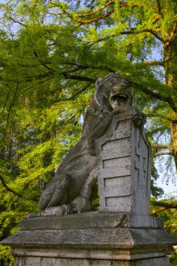 Güzel Vajdahunyad castle. Varosligetsky park. Kültürel miras. Seyahat. Budapeşte, Macaristan.