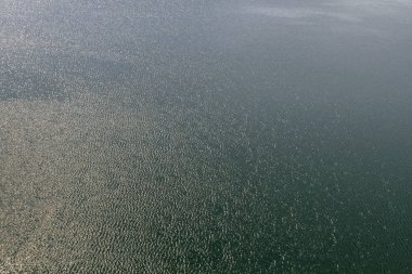 Doku su. Deniz doku arka plan ve güneş ışığı. Metin ekleyin. Arka plan fotoğraf.