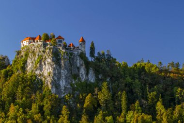 Güzel dağ lake Bled ve Ortaçağ Kalesi kaya üzerinde. Sahne Slovenia.Slovenia, Europe Bled Gölü. Avrupa seyahat.