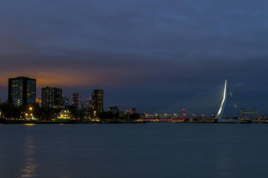 Güzel manzara Rotterdam şehir merkezi. Erasmus Köprüsü Meuse Nehri üzerinde. Rotterdam şehir merkezinde akşam. Rotterdam, Hollanda.