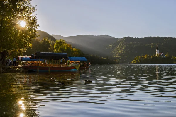 布莱德湖上的旅游船 美丽的山湖布莱德和朝圣教堂的玛丽亚假设位于一个岛上 斯洛文尼亚布莱德湖的风景 背景中的山脉 斯洛文尼亚 欧洲旅行 — 图库照片