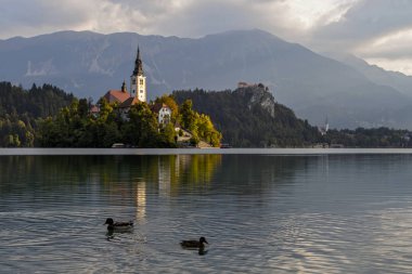 Güzel dağ gölü kan kaybından öldü. Hac kilise bir adada yer alan Maria varsayım. Arka plan dağlarda. Slovenya, Europe. Avrupa seyahat.