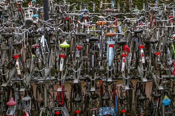 Bicycles parked in the Bicycle parking  of the  town in Rotterdam.Environmentally friendly transport.