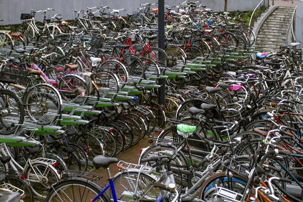 Bicicletas Estacionadas Estacionamento Bicicletas Cidade Rotterdam Environment Friendly Transporte — Fotografia de Stock