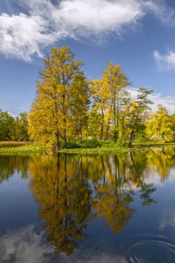 Güzel sonbahar manzarası. Sarı ağaçlar ve mavi gökyüzü sakin suya yansıdı. Sonbahar güneşli bir gün. Avrupa.
