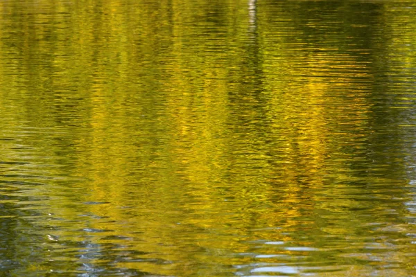 Fondo Abstracto Agua Abstracto Colorido Acuarela Amarillo Verde Otoño Luz — Foto de Stock