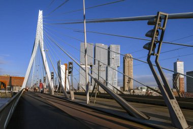 Nieuwe Maas (Yeni Meuse) Nehri üzerinde Erasmus Köprüsü bir görünüm . Güneşli bir günde şehir manzarası. Rotterdam, Hollanda.