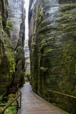 ÇEK CUMHURİYETİ. TEPLITSKIE KURUMLARI. 10 Ekim 2020 'de. Adrspach-Teplice kayaları. Kayalık şehir turistleri çeker. Çek Cumhuriyeti 'nde turizm.