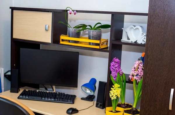 work space at home. computer table, office chair, table lamp and floral decor - orchid flowers and hyacinths.