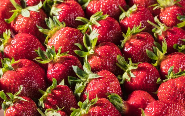 Berry background from a fresh strawberry texture closeup