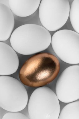 Tavuk beyaz yumurta closeup arka plan