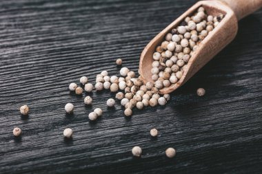 baharatlı biber portre siyah ahşap zemin