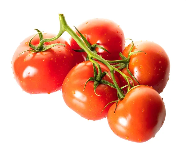 Ripe Tomato Branch White Isolated Background — Stock Photo, Image