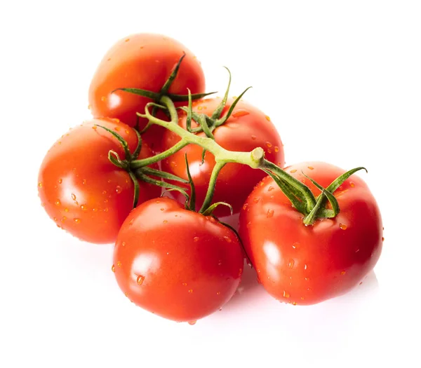 Gałęzi Dojrzałych Pomidorów Białym Tle — Zdjęcie stockowe