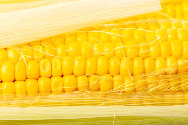 Textúra Kukorica Csövek Vértes Élelmiszer Háttér — Stock Fotó