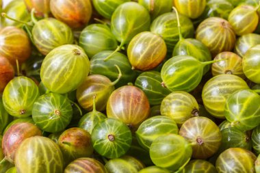 çilek Bektaşi doku kökenli gıda