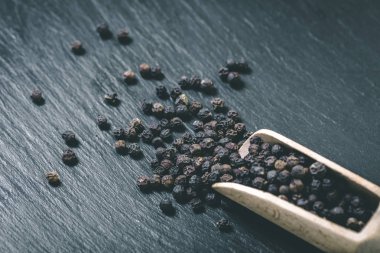 baharatlı biber portre siyah bir zemin üzerine