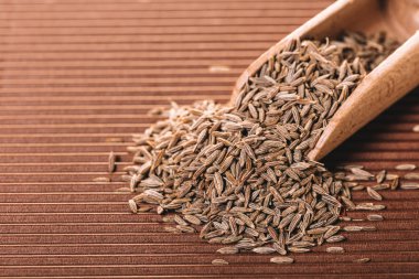 Kuru baharat kimyon closeup kahverengi bir arka plan üzerinde