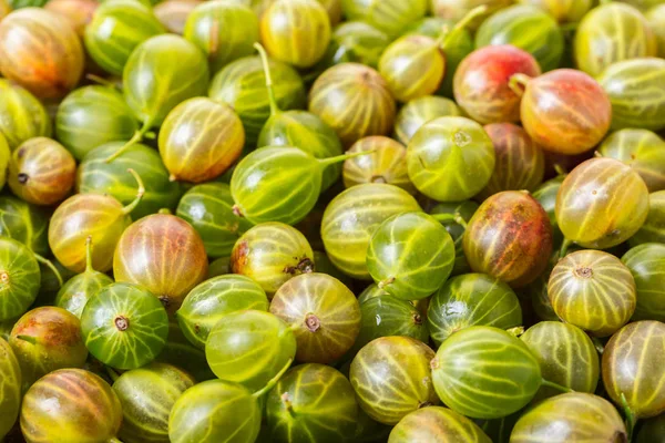 çilek Bektaşi doku kökenli gıda